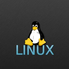 Системное администрирование ОС Linux – II уровень
